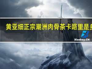 黄亚细 正宗潮洲肉骨茶卡路里是多少