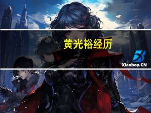 黄光裕经历（关于黄光裕经历的介绍）