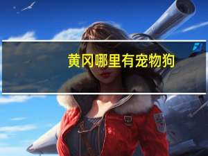 黄冈哪里有宠物狗