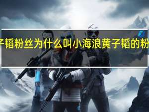 黄子韬粉丝为什么叫小海浪 黄子韬的粉丝叫什么
