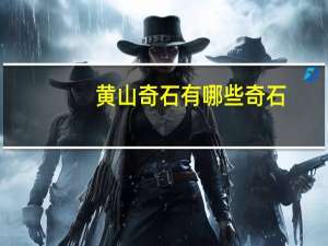 黄山奇石有哪些奇石_