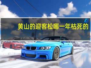 黄山的迎客松哪一年枯死的