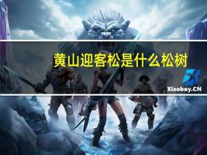 黄山迎客松是什么松树