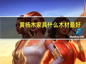 黄杨木家具什么木材最好