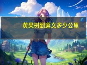 黄果树到遵义多少公里