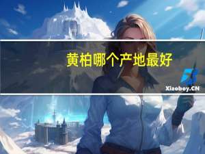 黄柏哪个产地最好
