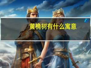 黄桷树有什么寓意