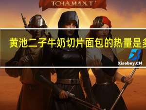 黄池二子牛奶切片面包的热量是多少