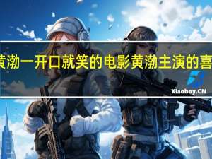 黄渤一开口就笑的电影 黄渤主演的喜剧电影