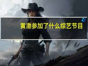 黄渤参加了什么综艺节目