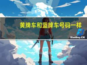 黄牌车和蓝牌车号码一样（黄牌车和蓝牌车区别）
