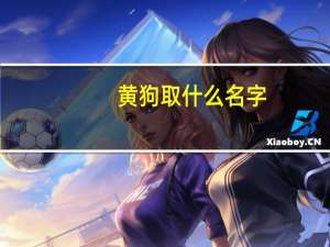 黄狗取什么名字