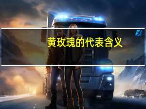 黄玫瑰的代表含义