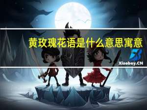 黄玫瑰花语是什么意思 寓意