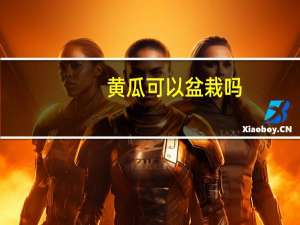 黄瓜可以盆栽吗