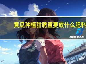 黄瓜种植甜脆直要放什么肥料