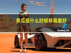 黄瓜苗什么时候移栽最好