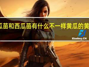 黄瓜苗和西瓜苗有什么不一样 黄瓜的黄西瓜的西