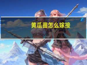 黄瓜苗怎么嫁接