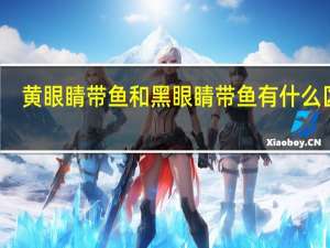 黄眼睛带鱼和黑眼睛带鱼有什么区别