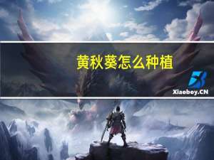 黄秋葵怎么种植