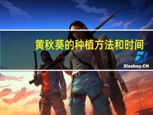 黄秋葵的种植方法和时间