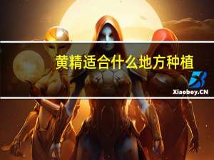黄精适合什么地方种植