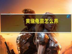 黄缘龟苗怎么养