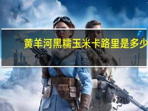 黄羊河黑糯玉米卡路里是多少