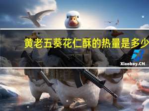 黄老五 葵花仁酥的热量是多少