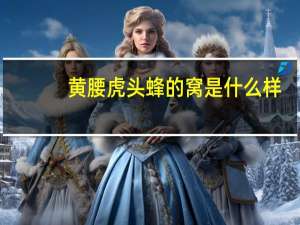 黄腰虎头蜂的窝是什么样（黄腰虎头蜂）