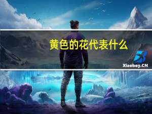 黄色的花代表什么