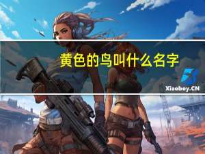 黄色的鸟叫什么名字