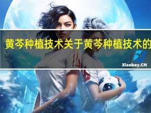 黄芩种植技术 关于黄芩种植技术的介绍