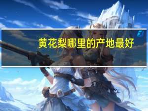 黄花梨哪里的产地最好