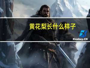 黄花梨长什么样子