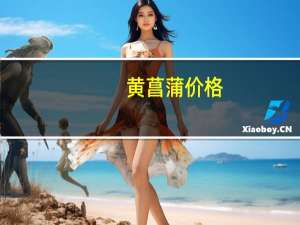黄菖蒲价格：幼苗大,价格高