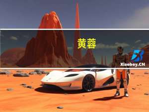 黄蓉（关于黄蓉的介绍）