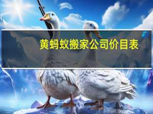 黄蚂蚁搬家公司价目表
