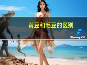 黄豆和毛豆的区别