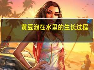 黄豆泡在水里的生长过程