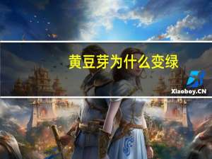 黄豆芽为什么变绿