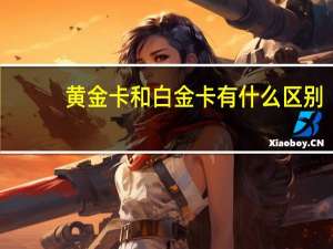 黄金卡和白金卡有什么区别