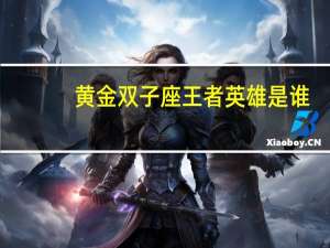 黄金双子座王者英雄是谁