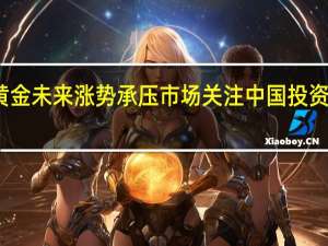 黄金未来涨势承压 市场关注中国投资者表现