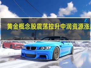 黄金概念股震荡拉升 中润资源涨超8%