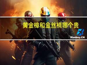 黄金樟和金丝楠哪个贵