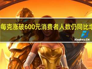 黄金每克涨破600元消费者人数仍同比增长超三倍