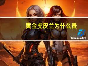 黄金虎皮兰为什么贵