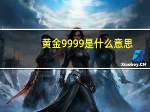 黄金9999是什么意思